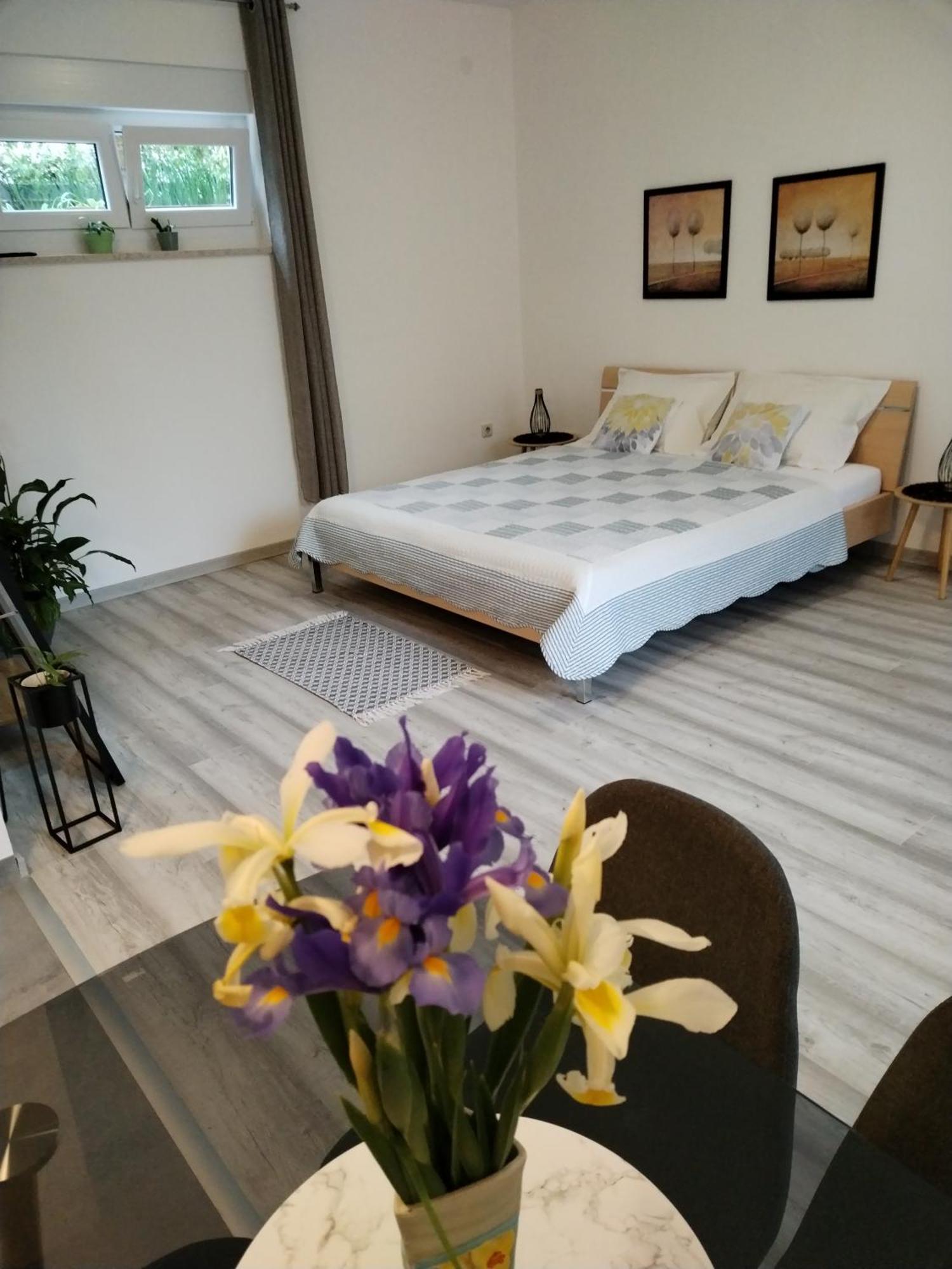 Apartments Mirijana Póla Kültér fotó
